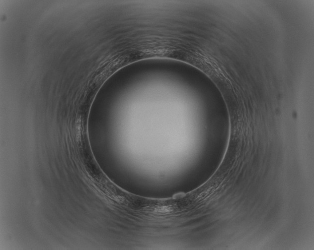 X0000077340647200611031756
