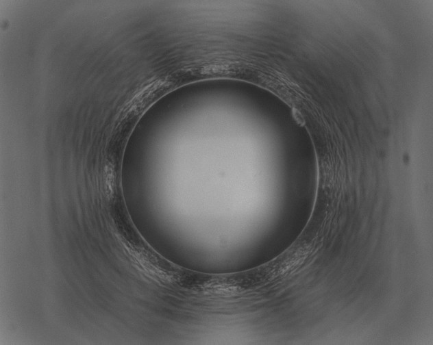X0000077340648200611031756