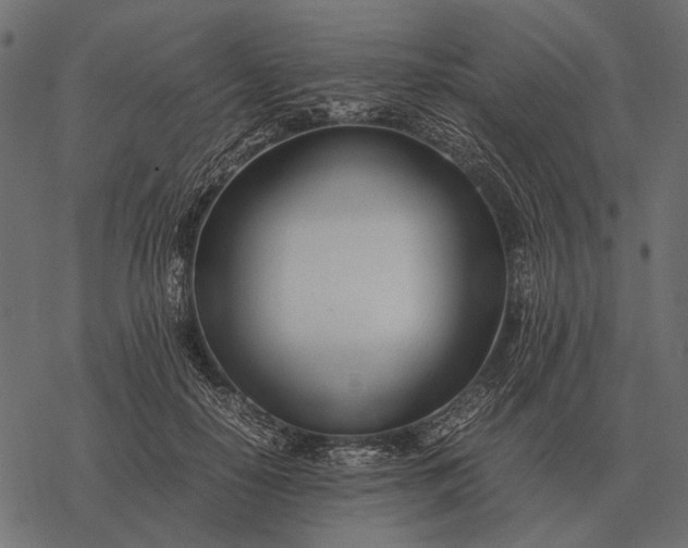 X0000077340650200611031756