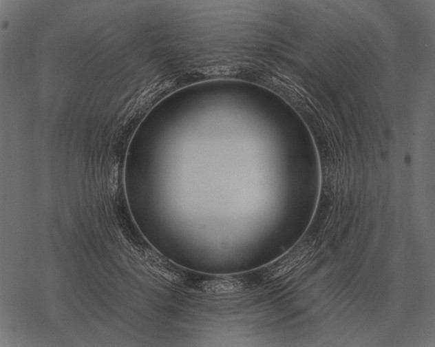 X0000077340652200611031757