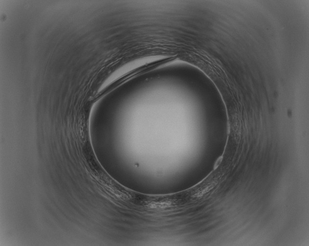 X0000077340653200611031757