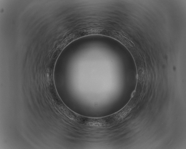 X0000077340655200611031757