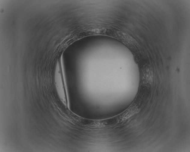 X0000077340656200611031757