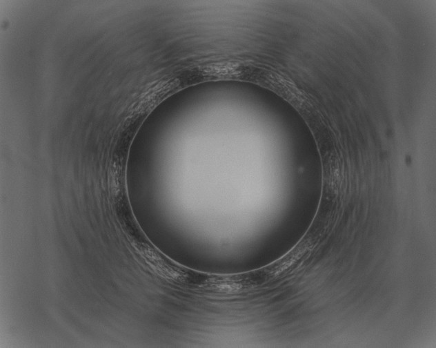 X0000077340658200611031757