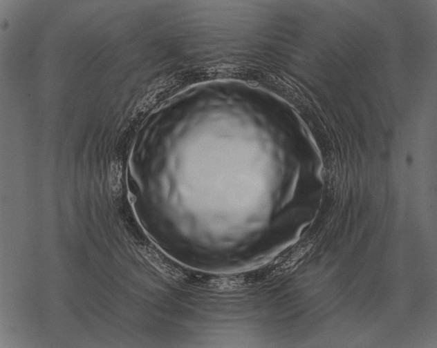 X0000077340660200611031757