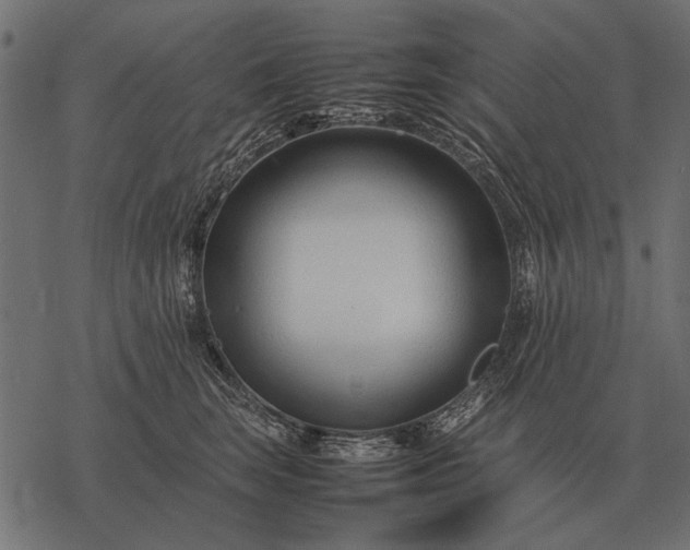 X0000077340663200611031757
