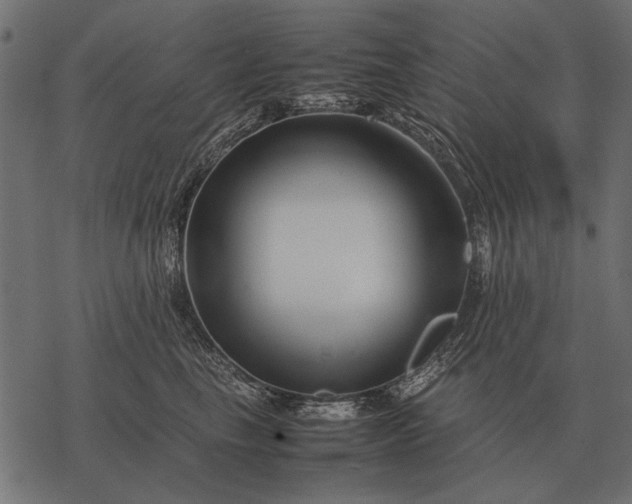 X0000077340665200611031757