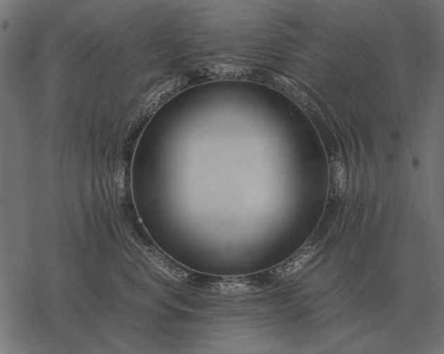 X0000077340668200611031757