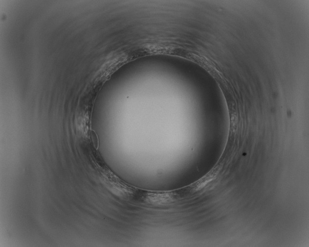 X0000077340671200611031757