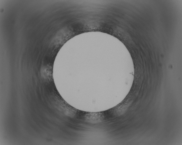 X0000077340672200611031757