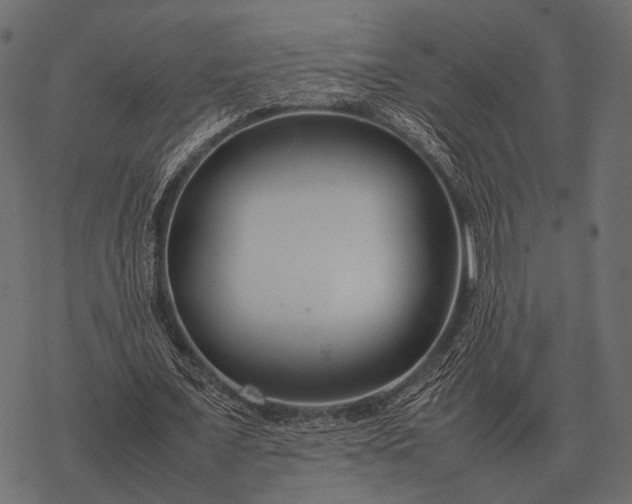 X0000077340675200611031756