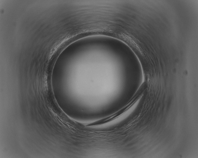 X0000077340676200611031756