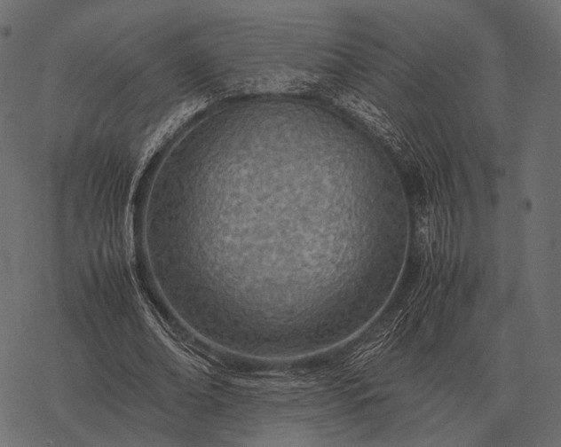 X0000077340678200611031756