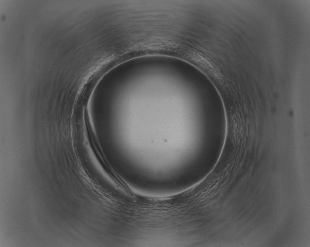 X0000077340680200611031756