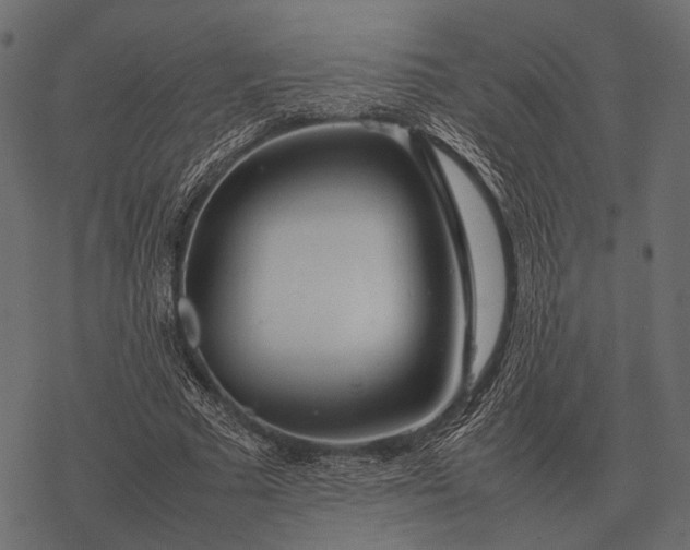 X0000077340681200611031756