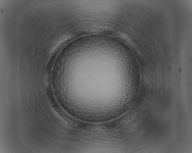 X0000077340683200611031756