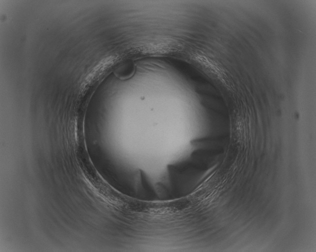 X0000077340686200611031756