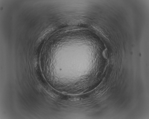 X0000077340687200611031756