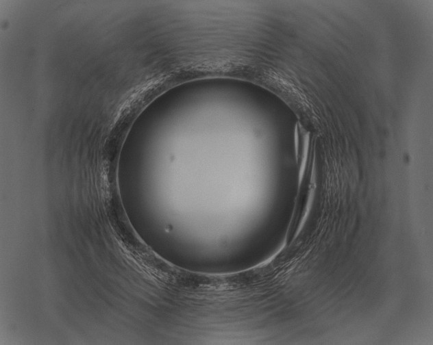 X0000077340688200611031756