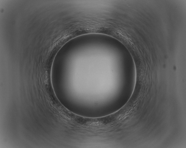 X0000077340689200611031756