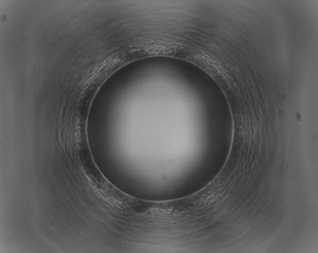 X0000077340690200611031756