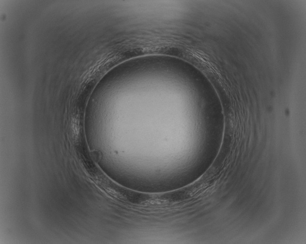 X0000077340691200611031756