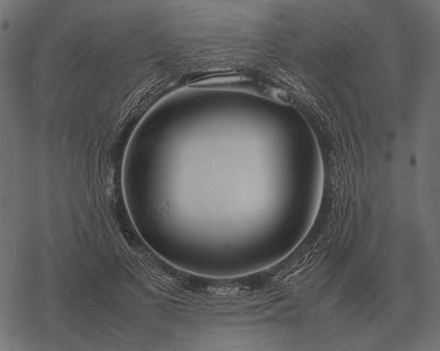 X0000077340693200611031756