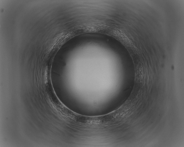 X0000077340694200611031756