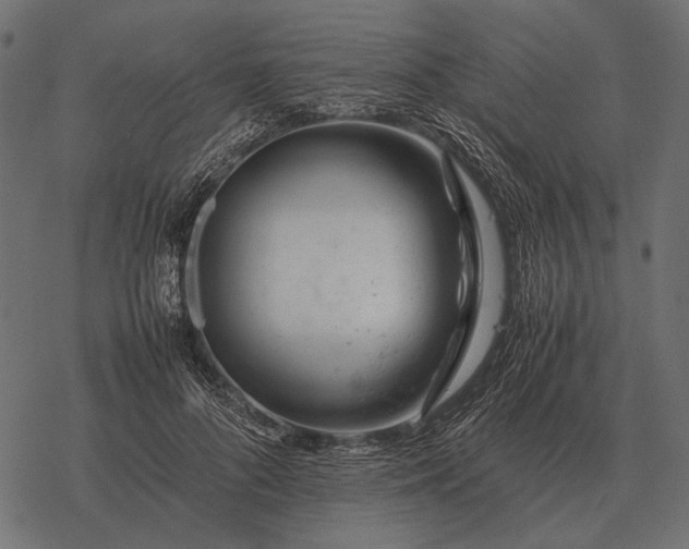 X0000077340696200611031756