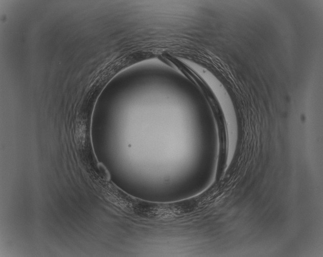 X0000077340697200611031756
