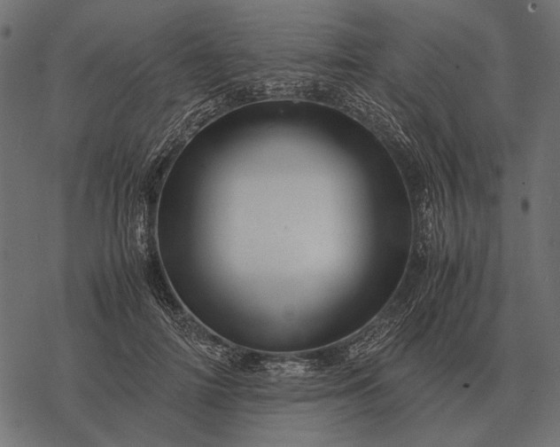 X0000077340698200611031756