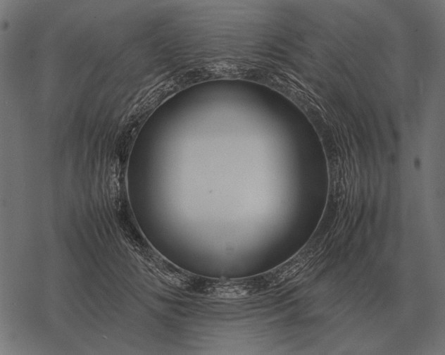 X0000077340702200611031756