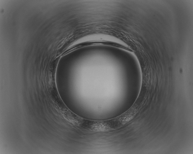 X0000077340704200611031756