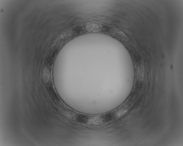 X0000077340705200611031756