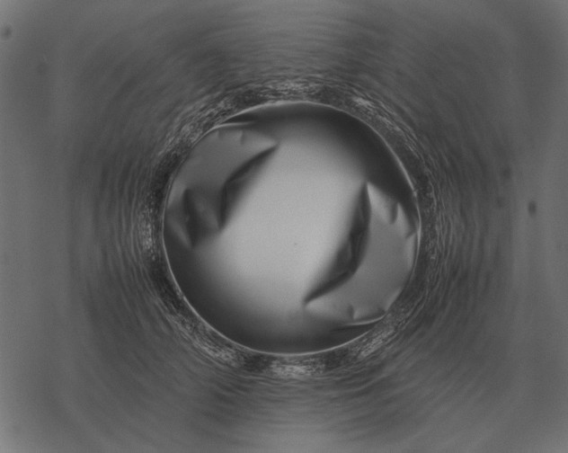 X0000077340706200611031756