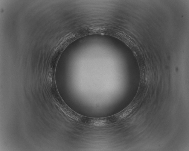X0000077340710200611031755