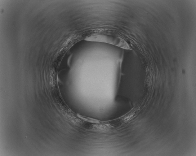 X0000077340712200611031755