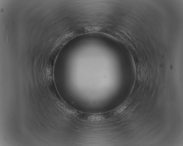 X0000077340714200611031755