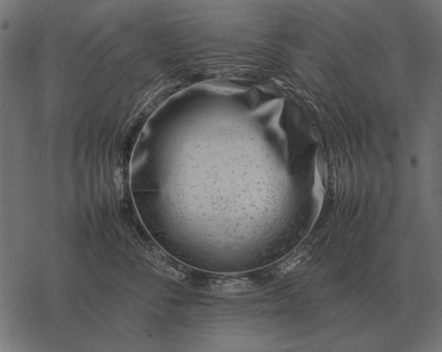 X0000077340716200611031755