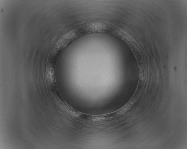 X0000077340718200611031755