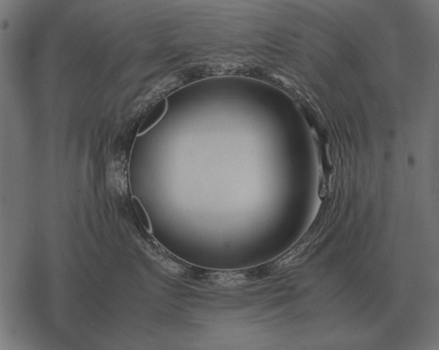 X0000077340719200611031755