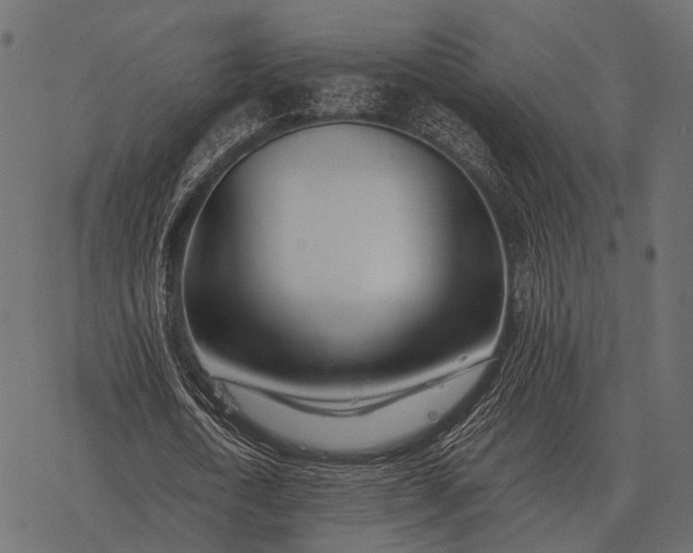 X0000077340722200611031755