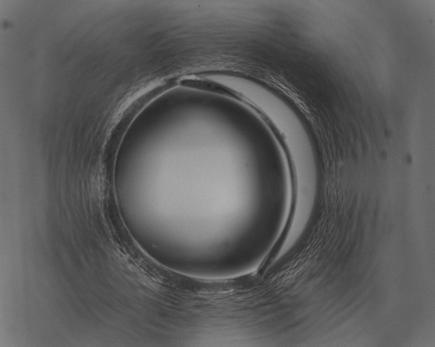 X0000077340724200611031755
