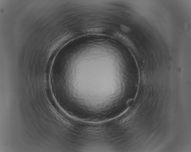 X0000077340725200611031755