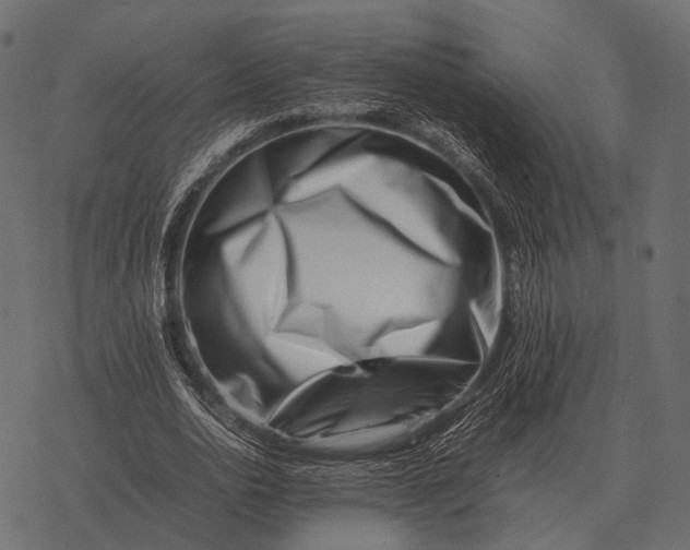 X0000077340726200611031755