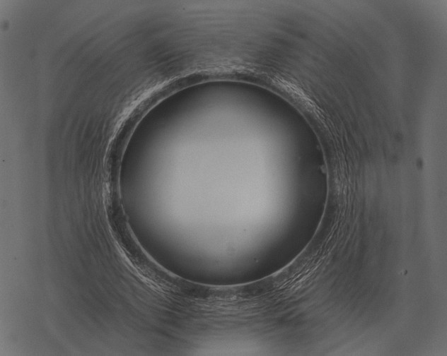 X0000077340728200611031755