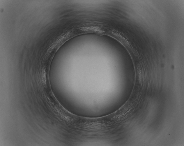 X0000077340729200611031755