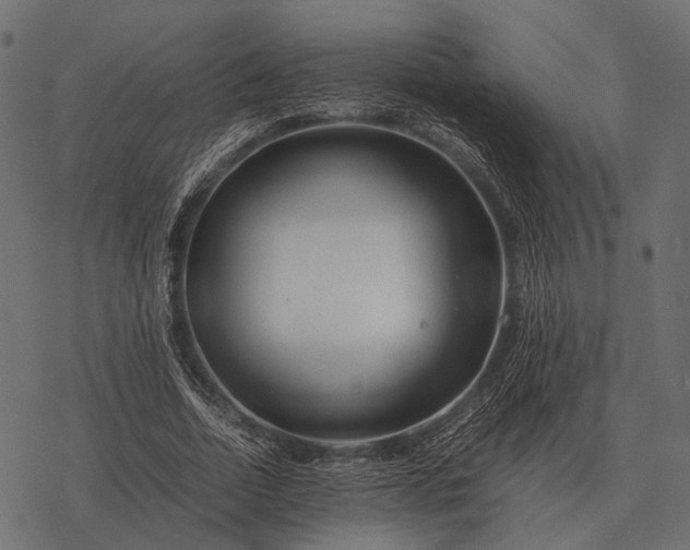 X0000077340730200611031755