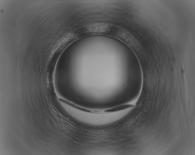 X0000077340731200611031755