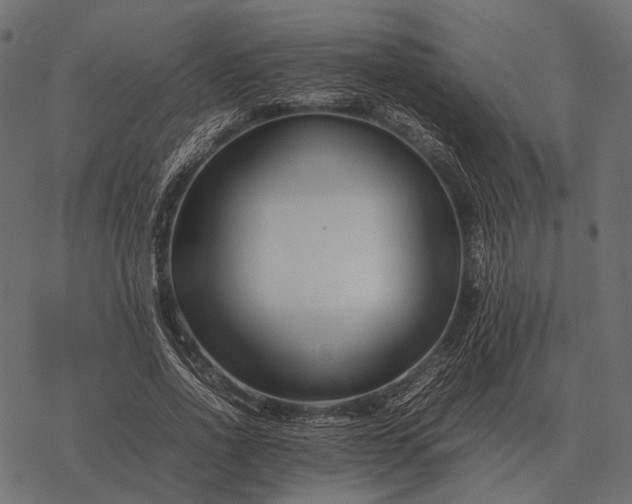 X0000077340734200611031755